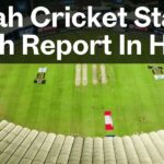 Sharjah Cricket Stadium Pitch Report In Hindi